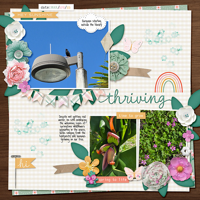 Studio-Liv---1234-Templates---Allison-Pennington-A-Little-Spring-copy