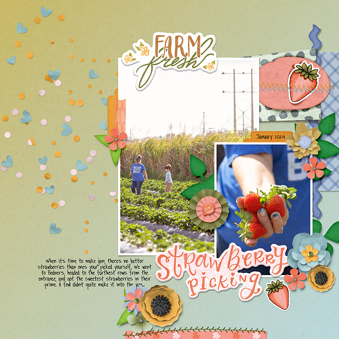 Studio-Liv---Summer-Picnic-700px