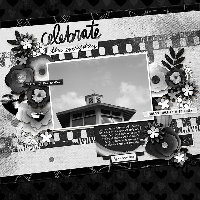 Studio-Liv---Tuxedo---FDD-Photo-Film-Nostalgia-copy