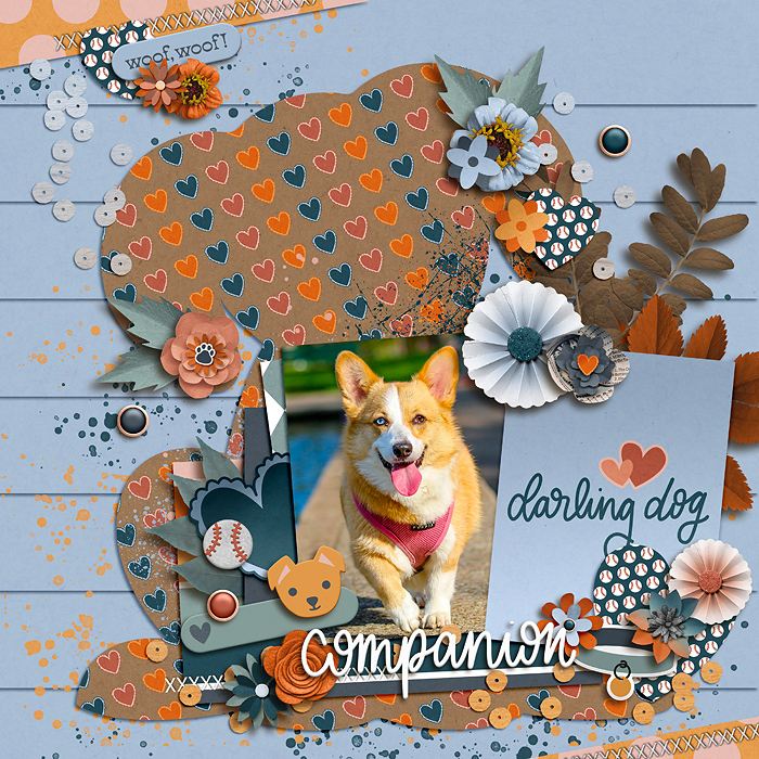 alchemywildstudio-comfortingcompanion1-tp