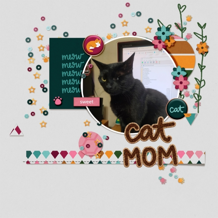 studioliv_intheround_temp4_cudlycats800