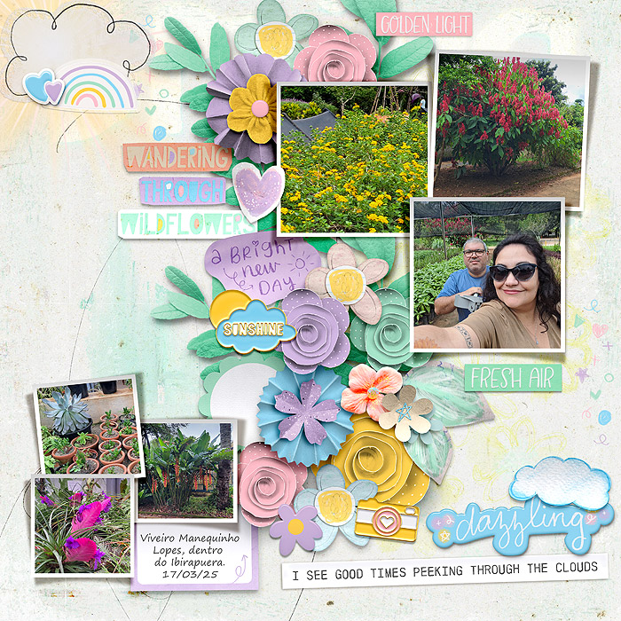 spring-copiar1