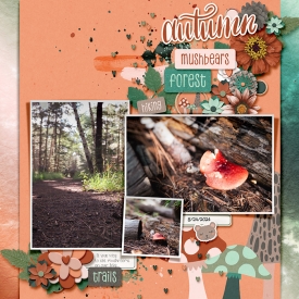 2024-08-24-autumnhike_sm.jpg