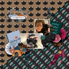 Cats-and-Dogs-copy.jpg