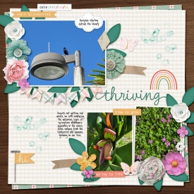 Studio-Liv---1234-Templates---Allison-Pennington-A-Little-Spring-copy.jpg