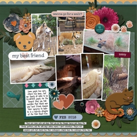 Studio-Liv---Cats-and-Dogs-bundle---FDD-Seven-Days-a-Week-template-copy.jpg