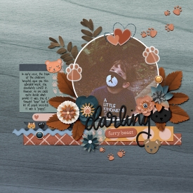 Studio-Liv---Darling-Dogs---In-The-Round-template-copy.jpg