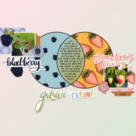 Studio-Liv---Summer-Picnic---Compare-_-Contrast-template-copy.jpg