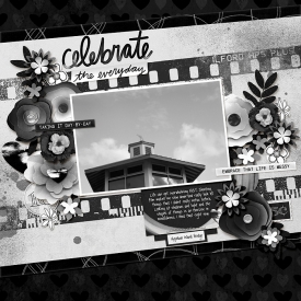 Studio-Liv---Tuxedo---FDD-Photo-Film-Nostalgia-copy.jpg