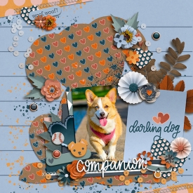 alchemywildstudio-comfortingcompanion1-tp.jpg