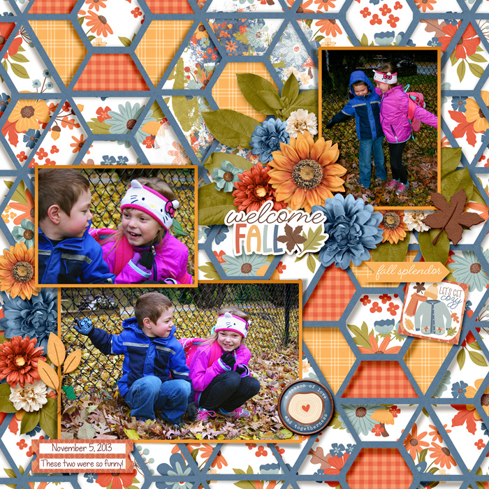 20131105-02-fdd_Mosaic_tp4