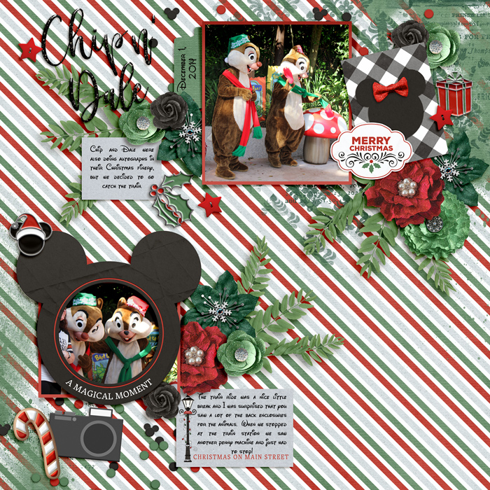 20141201-16-fdd_FrameandFlourish_tp2