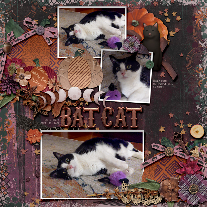 2022-09-21_BatCat_HollyBelle_WEB