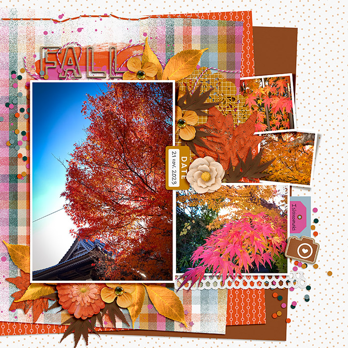 2023-1121-automne700