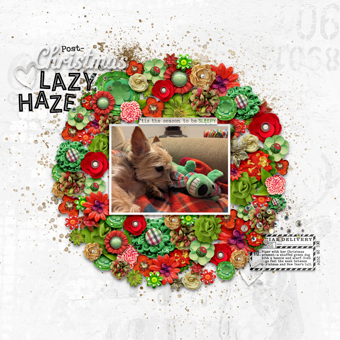 2024-12-28_PostChristmasLazyHaze_Piper_WEB