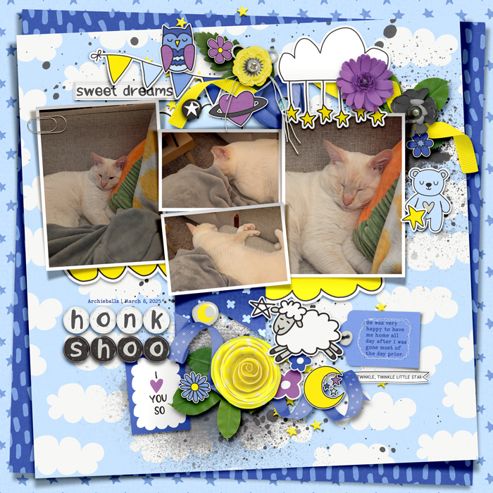 2025-03-08_HonkShoo_Archie_WEB