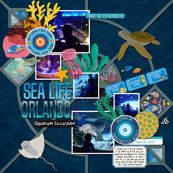 FDD---Be-Bold---CMG-Ocean-Aquarium-_-Eek_-A-Shark-copy