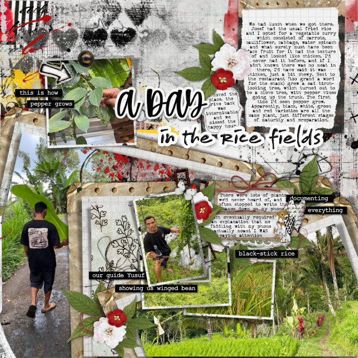 FDD_Layers_of_Life_700_Olga