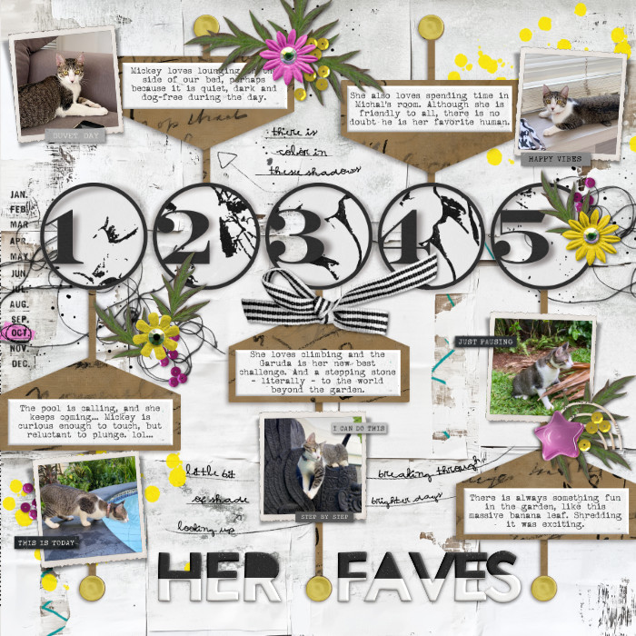 Five_Fab_Faves_Olga_700