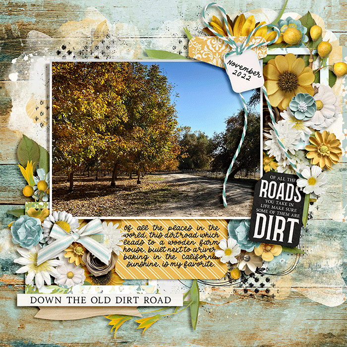 dirtroad_web
