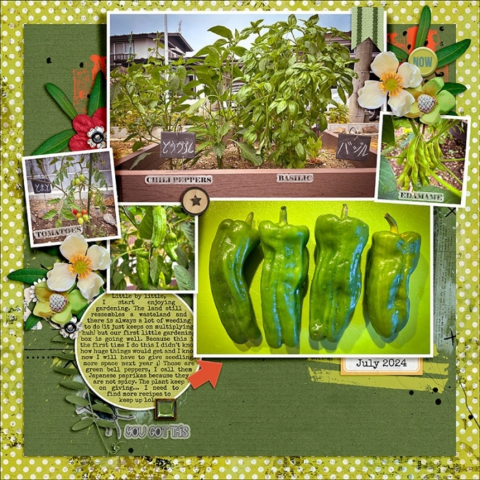 My Mini Garden