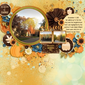 20131104-02-fdd_FullCircle_tp4.jpg