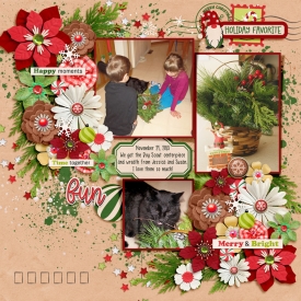 20131124-fdd_ISeeYourFaceInEveryFlower_tp2.jpg