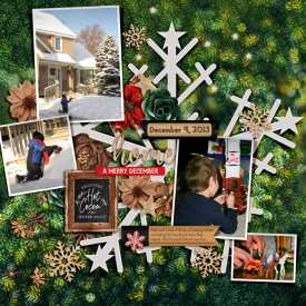 20131209-fdd_SnowflakeJoy_tp1.jpg