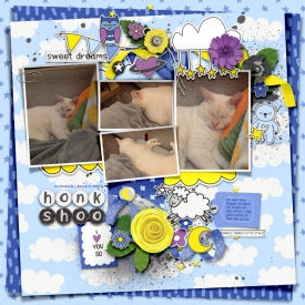 2025-03-08_HonkShoo_Archie_WEB.jpg