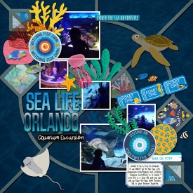FDD---Be-Bold---CMG-Ocean-Aquarium-_-Eek_-A-Shark-copy.jpg