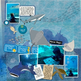 FDD---The-Sweetest-Thing---CMG-Ocean-Aquarium-copy.jpg