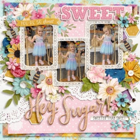 fdd_HeySugar700.jpg