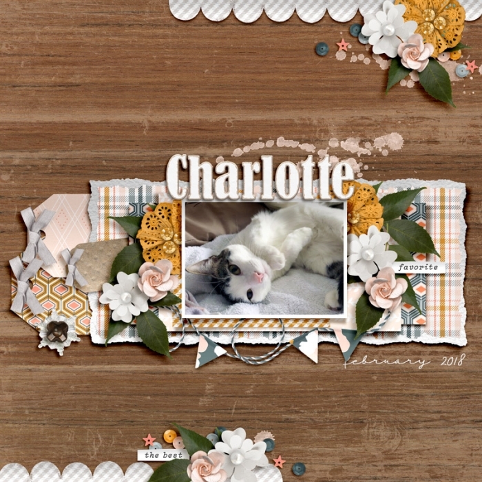 Charlotte