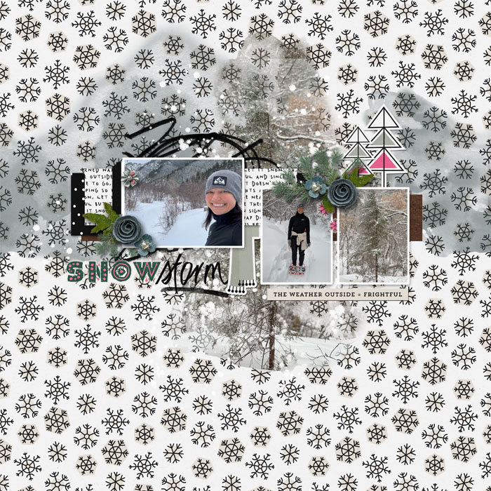 snowstorm_small