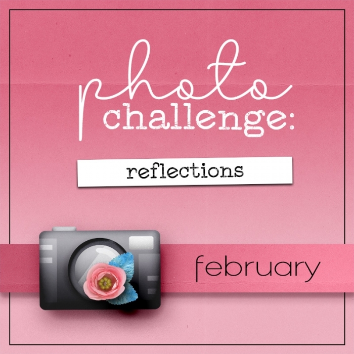 February Challenge: Reflections