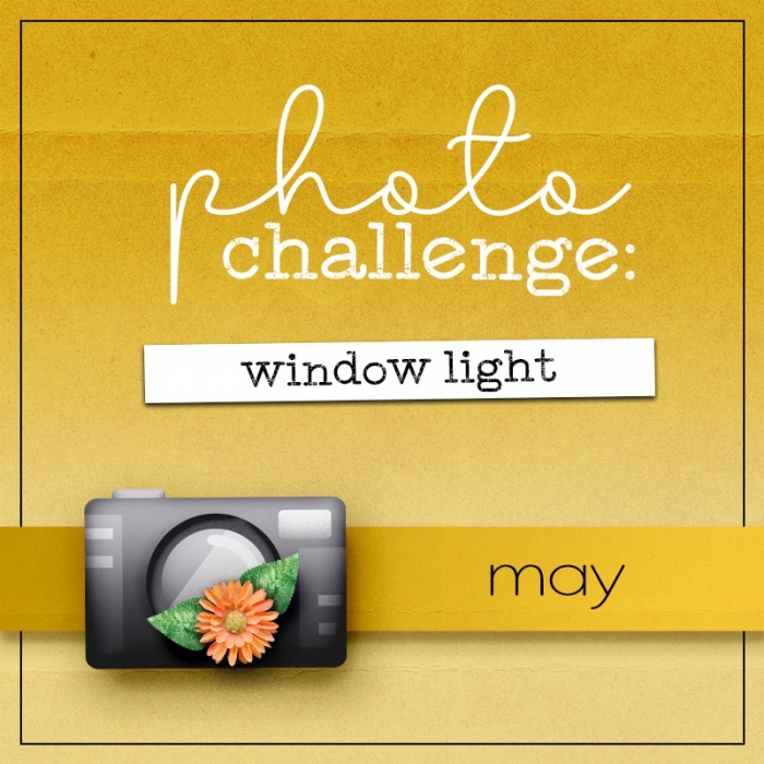 May Photography Challenge: Window Light