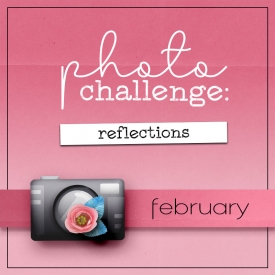 2025-02-photochallenge-reflection-featured.jpg