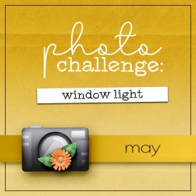 2025-may-photochallenge-featured-image.jpg