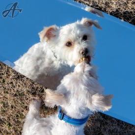angiekey-AFK_2702.jpg
