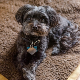angiekey-windowlight-jackjack.jpg