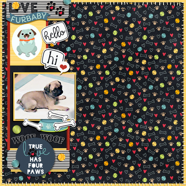 4-paws-cookie-2025-small