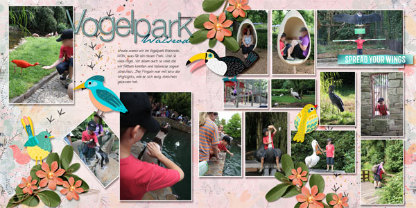 6-7-vogelpark