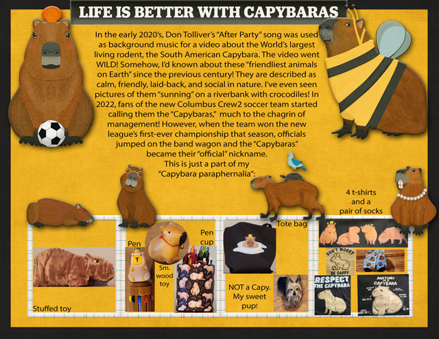 Capy-Day
