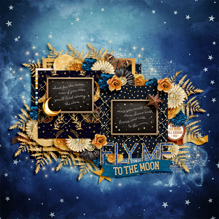 FlyMeToTheMoonweb