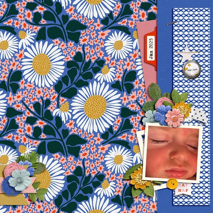 NAP_1