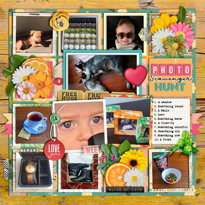 PHOTO_HUNT