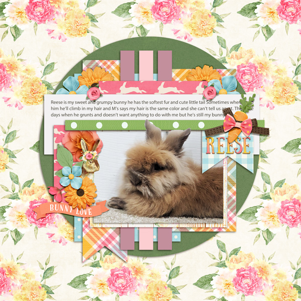 bunny-love-challenge-small