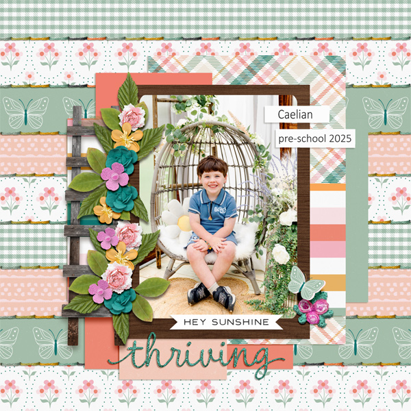 caelian-spring-sewn-small