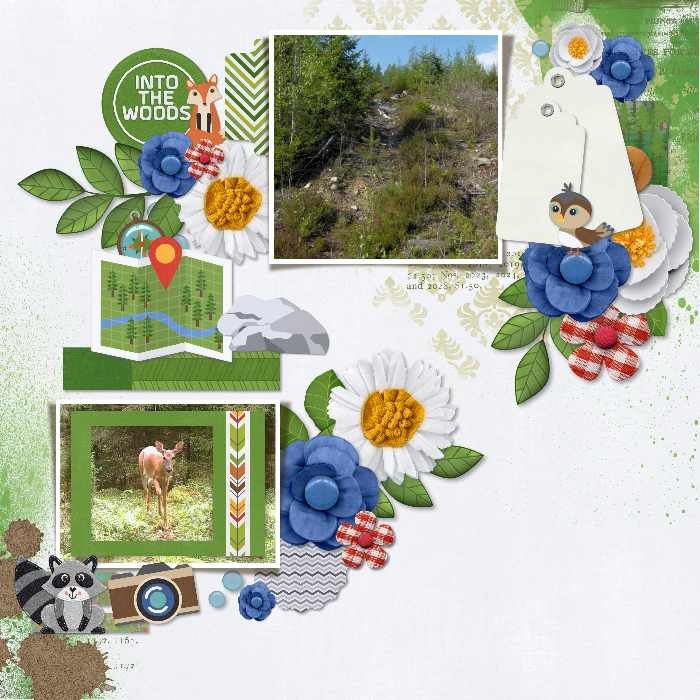 into_the_woods21