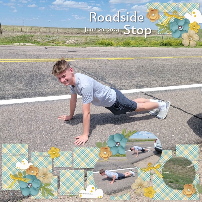 Roadside